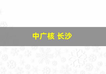 中广核 长沙